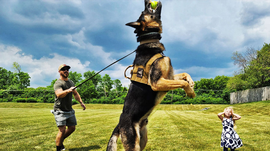 K9 Spotlight Winner: Jordan Potts & Pablo