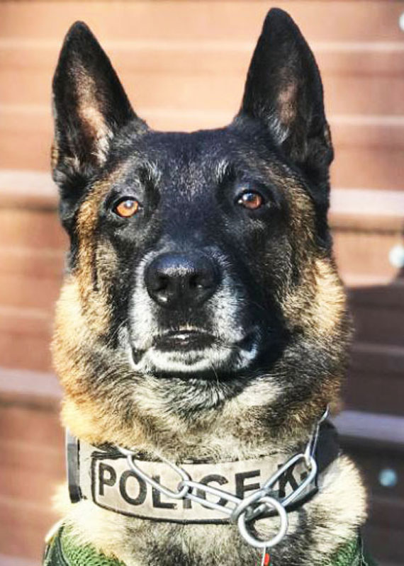 K9 Spotlight Winner: Beth Roberts & K9 Dane