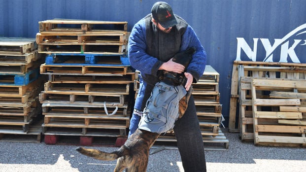 FIX Your Dog's GRIP With THIS EXERCISE! 