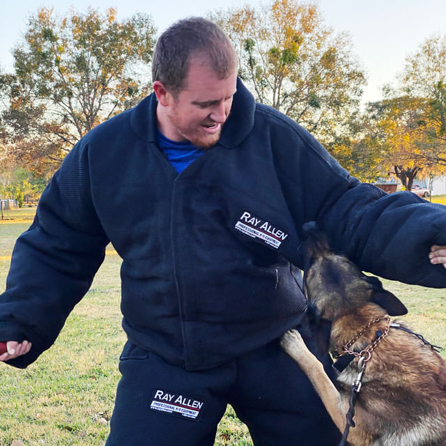 Paws Against Domestic Violence - Dog Bite training