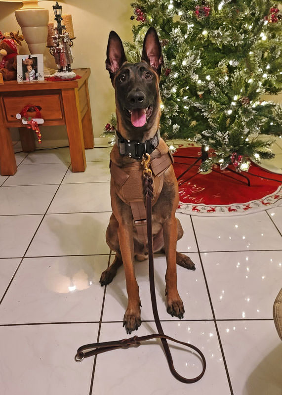 Ray Allen Manufacturing: K9 Spotlight Winner - Lynn Ellison & K9 Loki