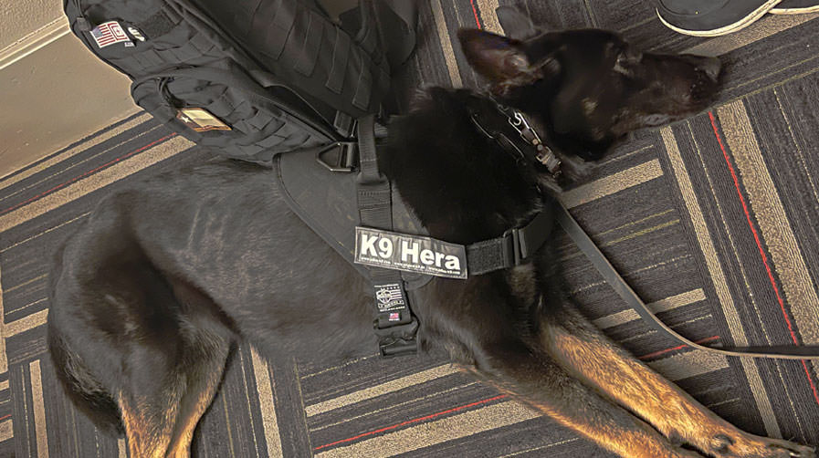 K9 Spotlight Winner: Jancy Thompson & K9 Hera