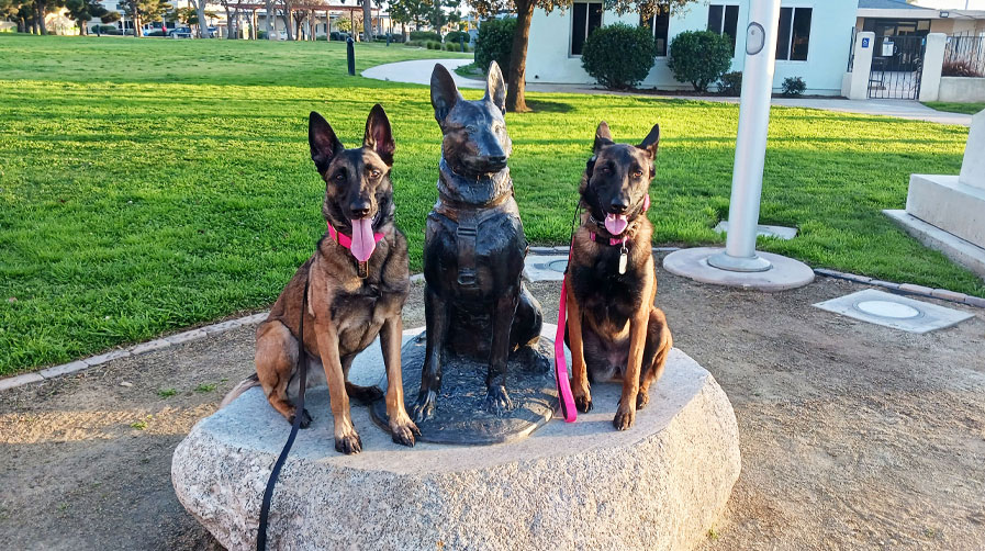 K9 Spotlight: Barron McNulty Jr. and Kalinka