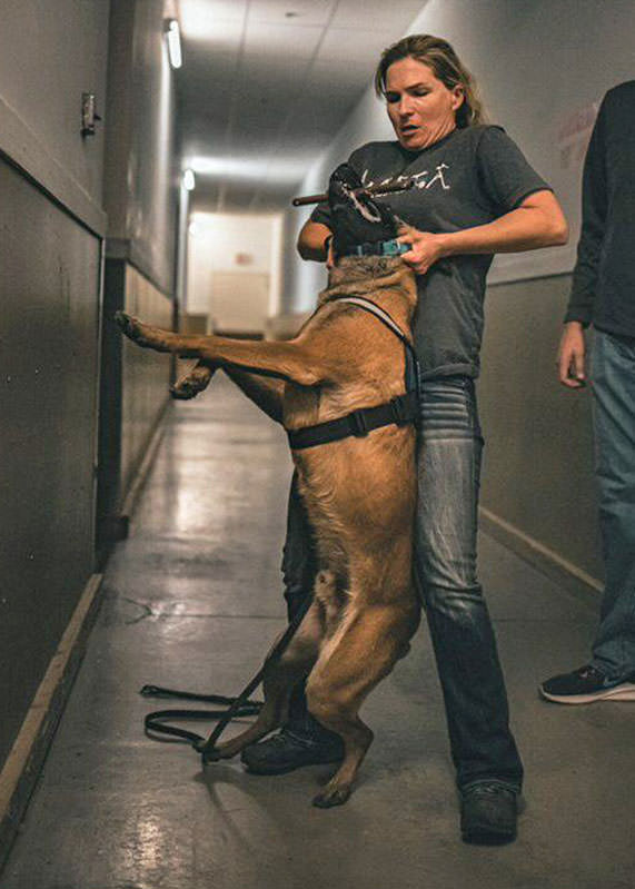 K9 Spotlight Winner: Constance Baker & Kracken