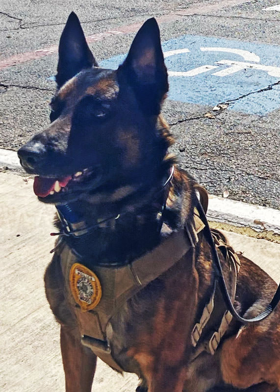 K9 Spotlight Winner: Michael Bucher and K9 Andor