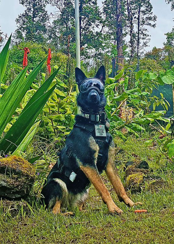 K9 Spotlight: Kaleb Fontenot and Freya