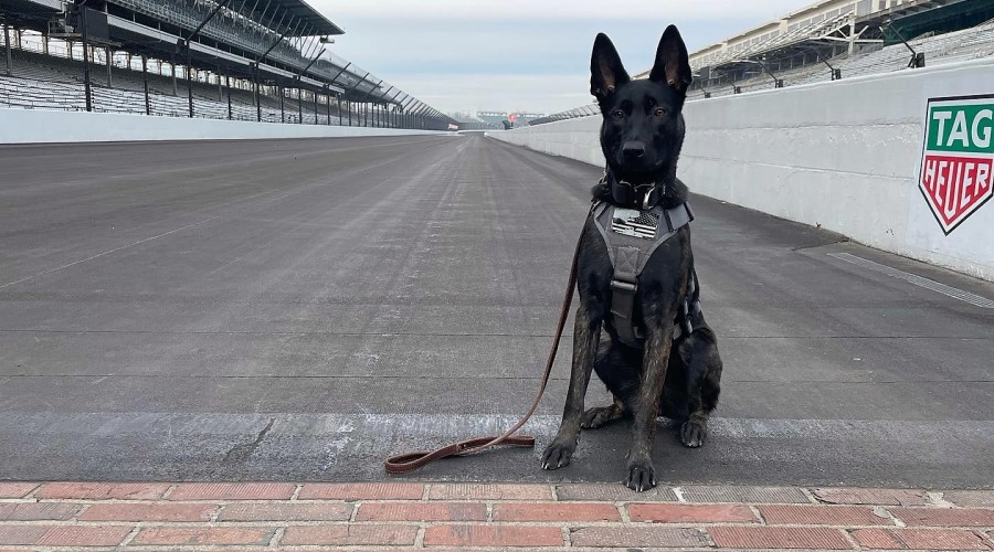 K9 Spotlight Winner: Brennen Casey and Sasha