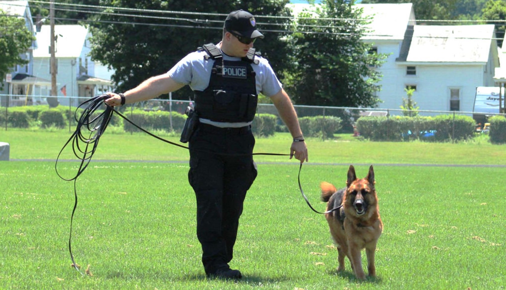 Ray allen dog training cheap